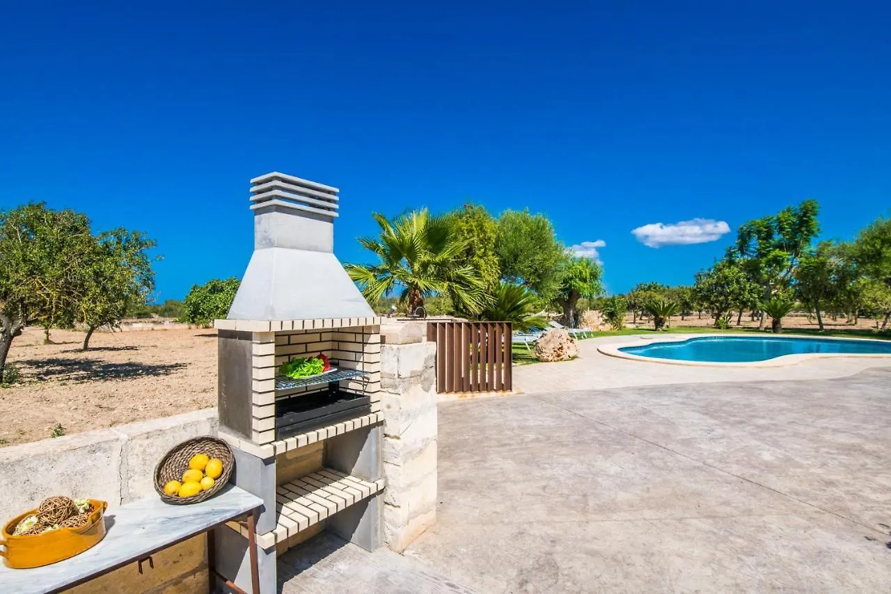 Ideal Property Mallorca - Vernissa Santa Margalida