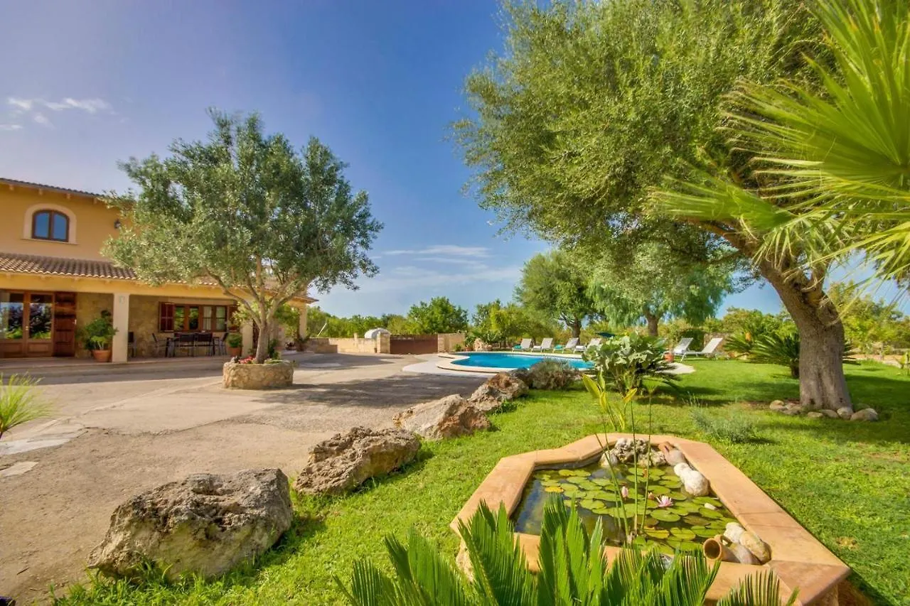 Ideal Property Mallorca - Vernissa Santa Margalida