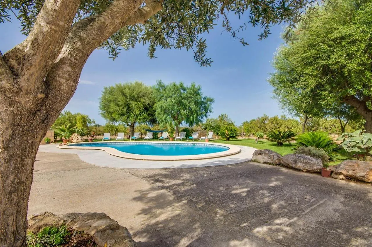 Ideal Property Mallorca - Vernissa Santa Margalida