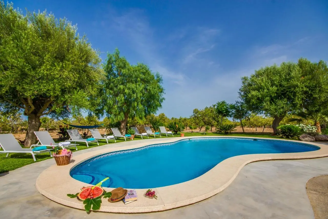 Ideal Property Mallorca - Vernissa Santa Margalida Spain