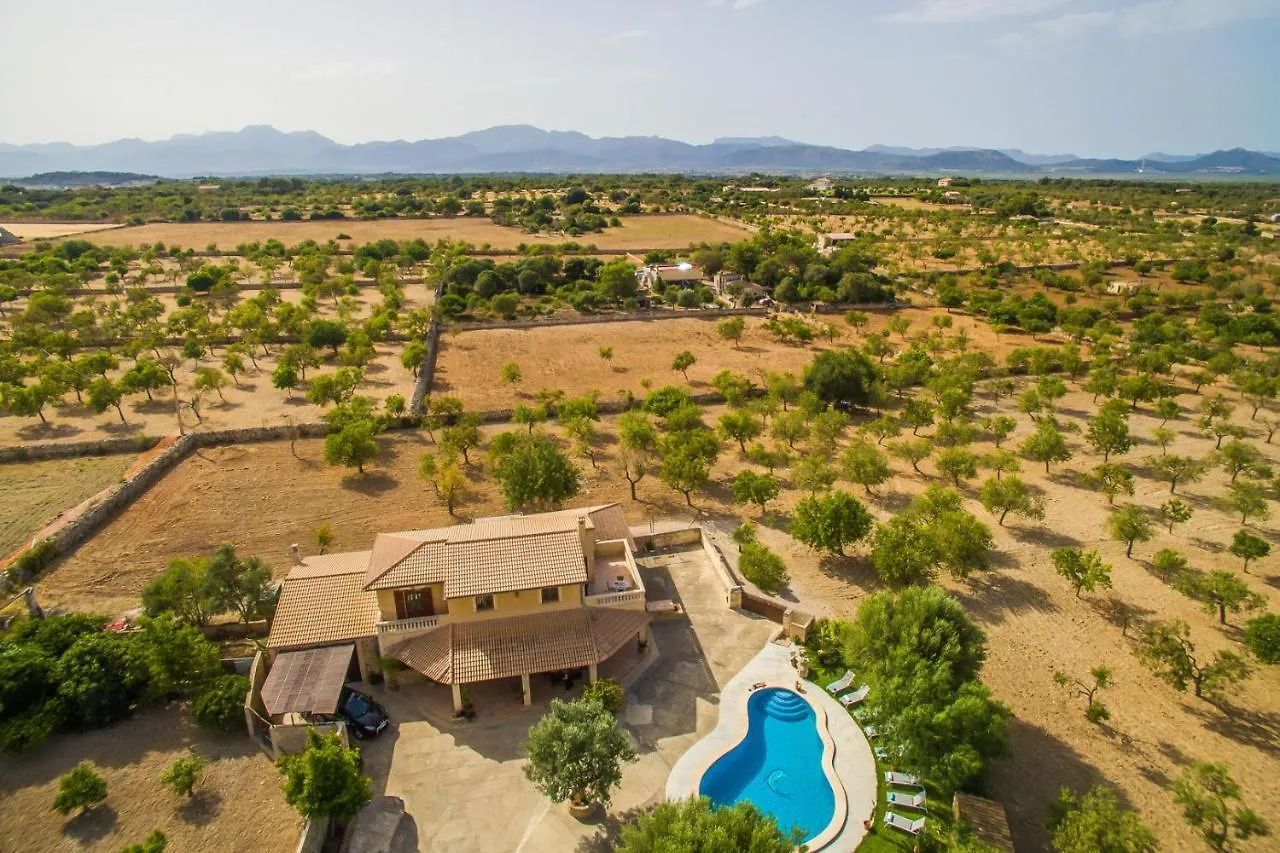 Ideal Property Mallorca - Vernissa Santa Margalida Spain