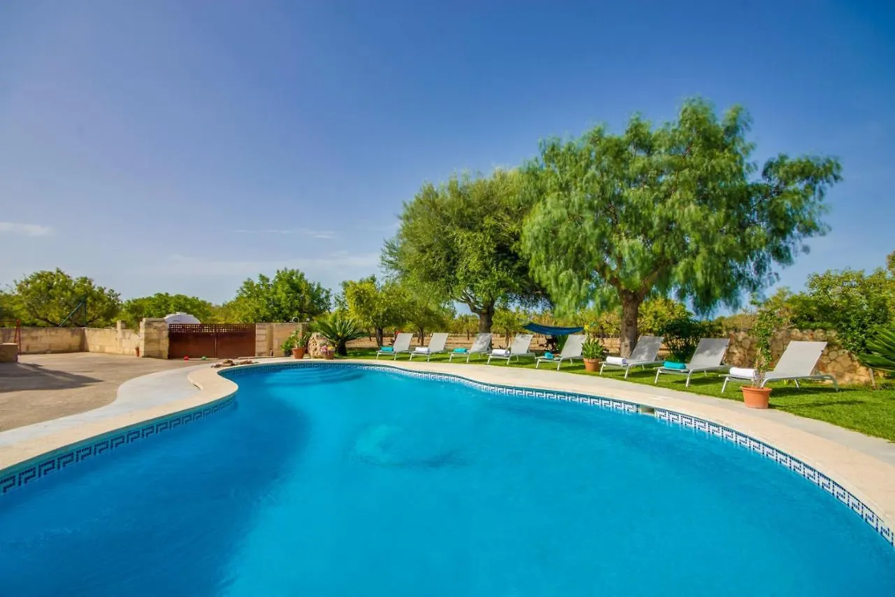 Ideal Property Mallorca - Vernissa Santa Margalida Country house