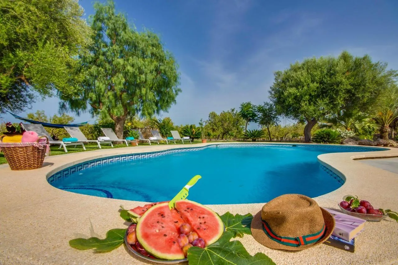 Ideal Property Mallorca - Vernissa Santa Margalida
