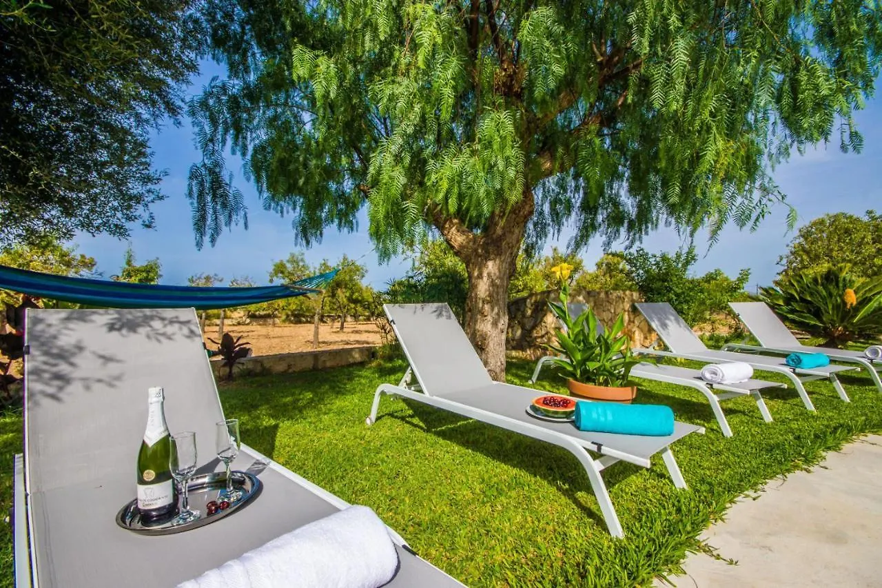 Ideal Property Mallorca - Vernissa Santa Margalida