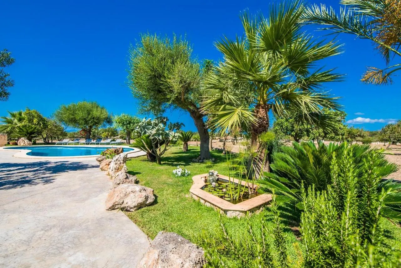 Ideal Property Mallorca - Vernissa Santa Margalida 0*,  Spain